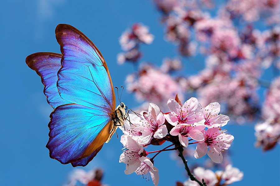 From A Caterpillar To A Butterfly: What Makes People Really Change?