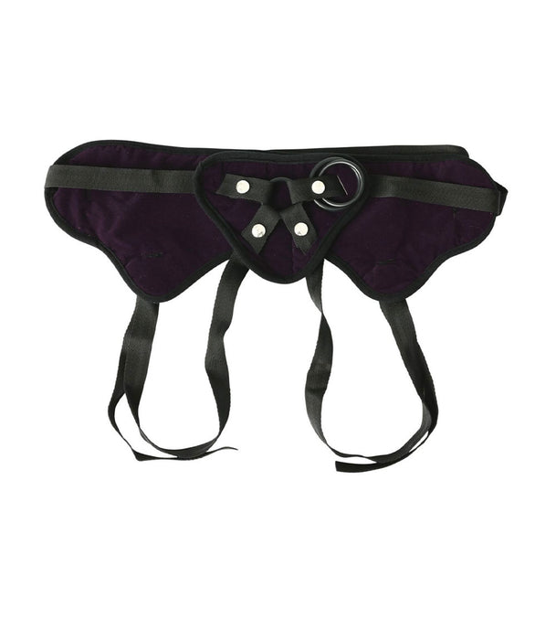 https://www.holisticwisdom.com/cdn/shop/products/sportsheets-plus-size-begin-strapon-harness-purple-1_609x700.jpg?v=1667509746